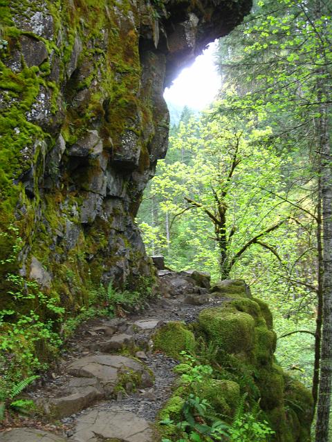 Eagle Creek-150.JPG - Eagle Creek